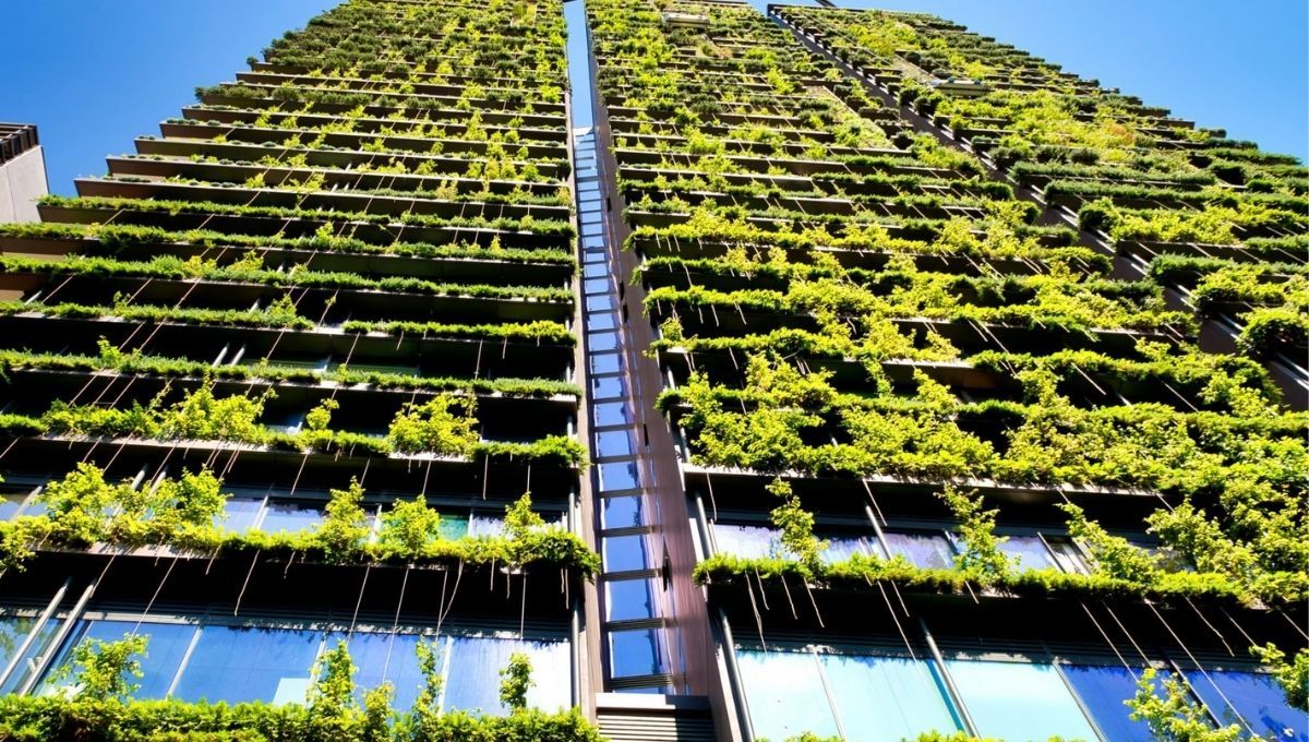 Energy Solutions for Zero Carbon Buildings